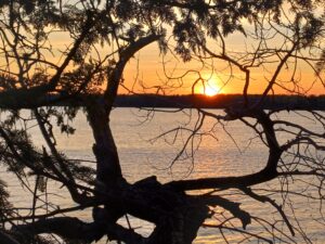 Hello from Wild Goose Lake (Geraldton)